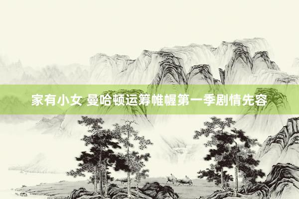 家有小女 曼哈顿运筹帷幄第一季剧情先容