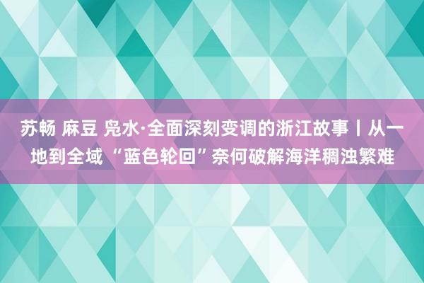 苏畅 麻豆 凫水·全面深刻变调的浙江故事丨从一地到全域 “蓝色轮回”奈何破解海洋稠浊繁难