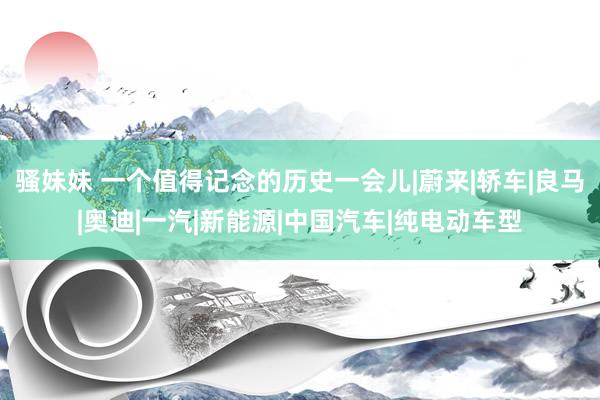 骚妹妹 一个值得记念的历史一会儿|蔚来|轿车|良马|奥迪|一汽|新能源|中国汽车|纯电动车型