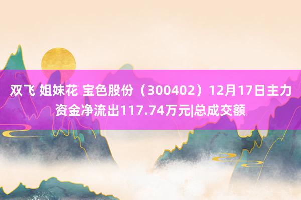 双飞 姐妹花 宝色股份（300402）12月17日主力资金净流出117.74万元|总成交额