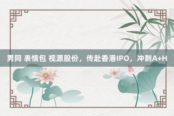 男同 表情包 视源股份，传赴香港IPO，冲刺A+H