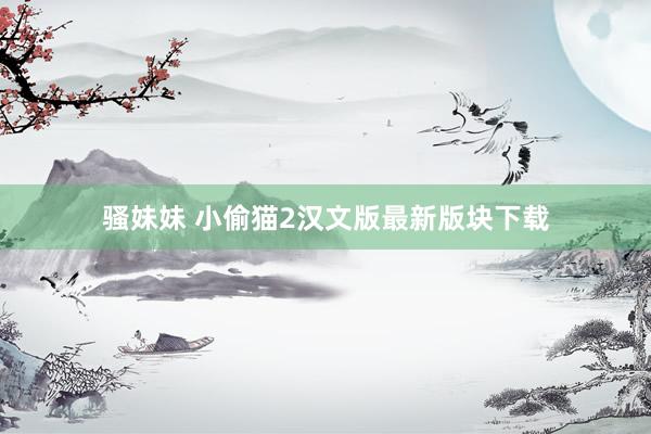 骚妹妹 小偷猫2汉文版最新版块下载