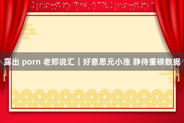 露出 porn 老郑说汇︱好意思元小涨 静待重磅数据