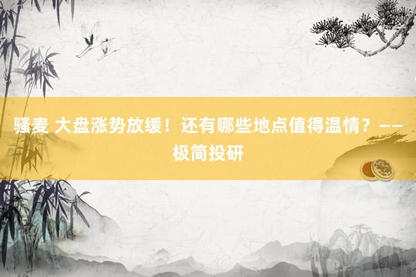 骚麦 大盘涨势放缓！还有哪些地点值得温情？——极简投研