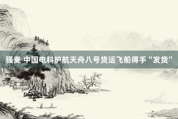 骚麦 中国电科护航天舟八号货运飞船得手“发货”