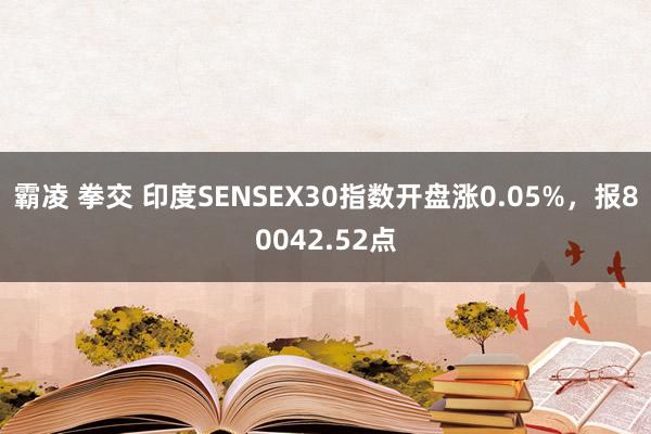霸凌 拳交 印度SENSEX30指数开盘涨0.05%，报80042.52点